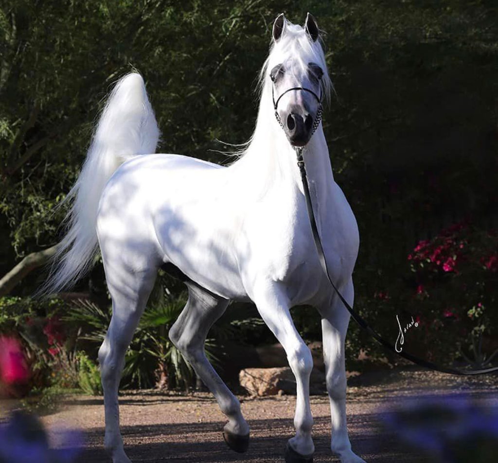 لورم ایپسوم متن ساختگی با تولید سادگی