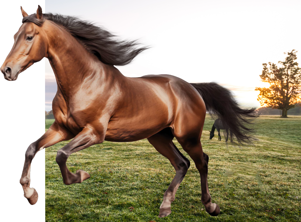 چرا استفاده از ژنتیک برتر انتخاب هوشمندانه است؟