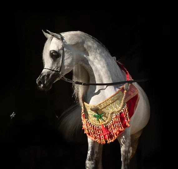 ای کی اس فراج | EKS FARAJJ